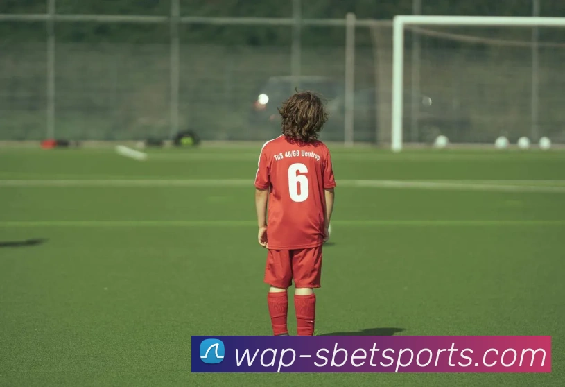 球赛投注平台生态图